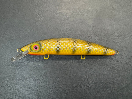 $9 Carp - Yellow Belly - 9CP
