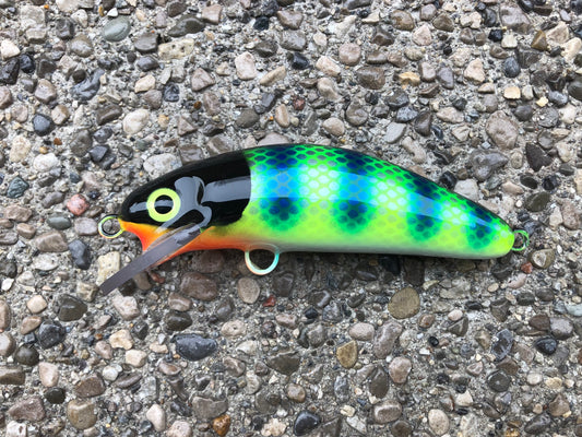 Fluorescent Bluegill - White Belly - 6SC