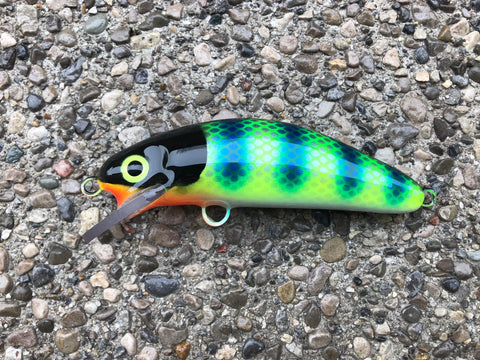 Fluorescent Bluegill - White Belly - 6SC