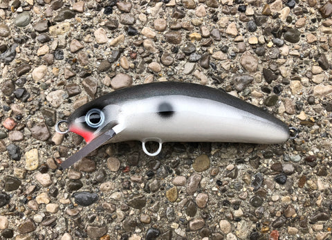 Prism Shad - Pearl Belly - 6SC