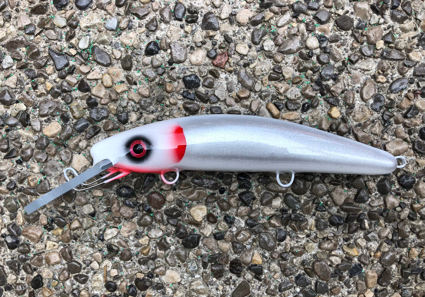 SuperMan - White Belly - 9H