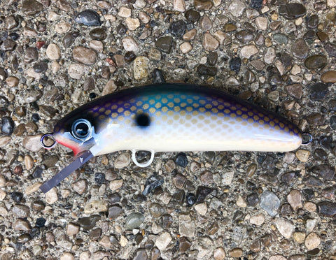 Natural Shad - Pearl Belly - 6FC