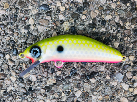 Watermelon Shad - Pink Belly - 6FC