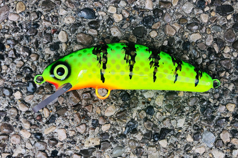 Hot Perch - Chartreuse Belly - 6FC