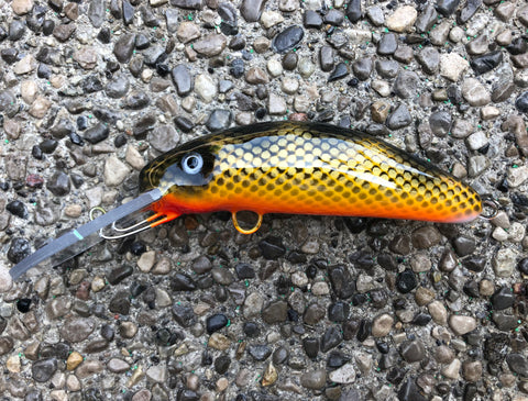 Double Nickel Walleye - Orange Belly - 6FH