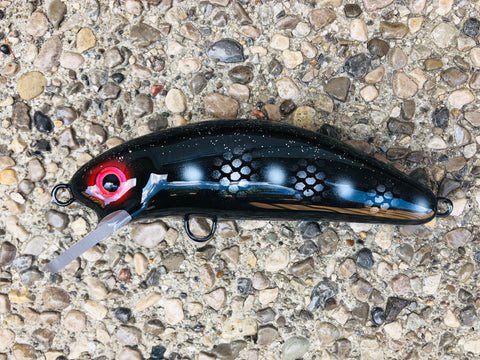 Imposter Perch - Black Belly - 6FC