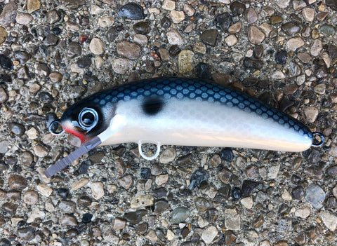 Iridescent Shad - Pearl Belly - 6FC