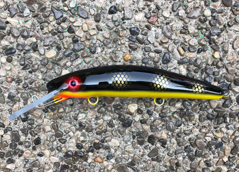 Black Perch - Pearl Yellow Belly - 9H