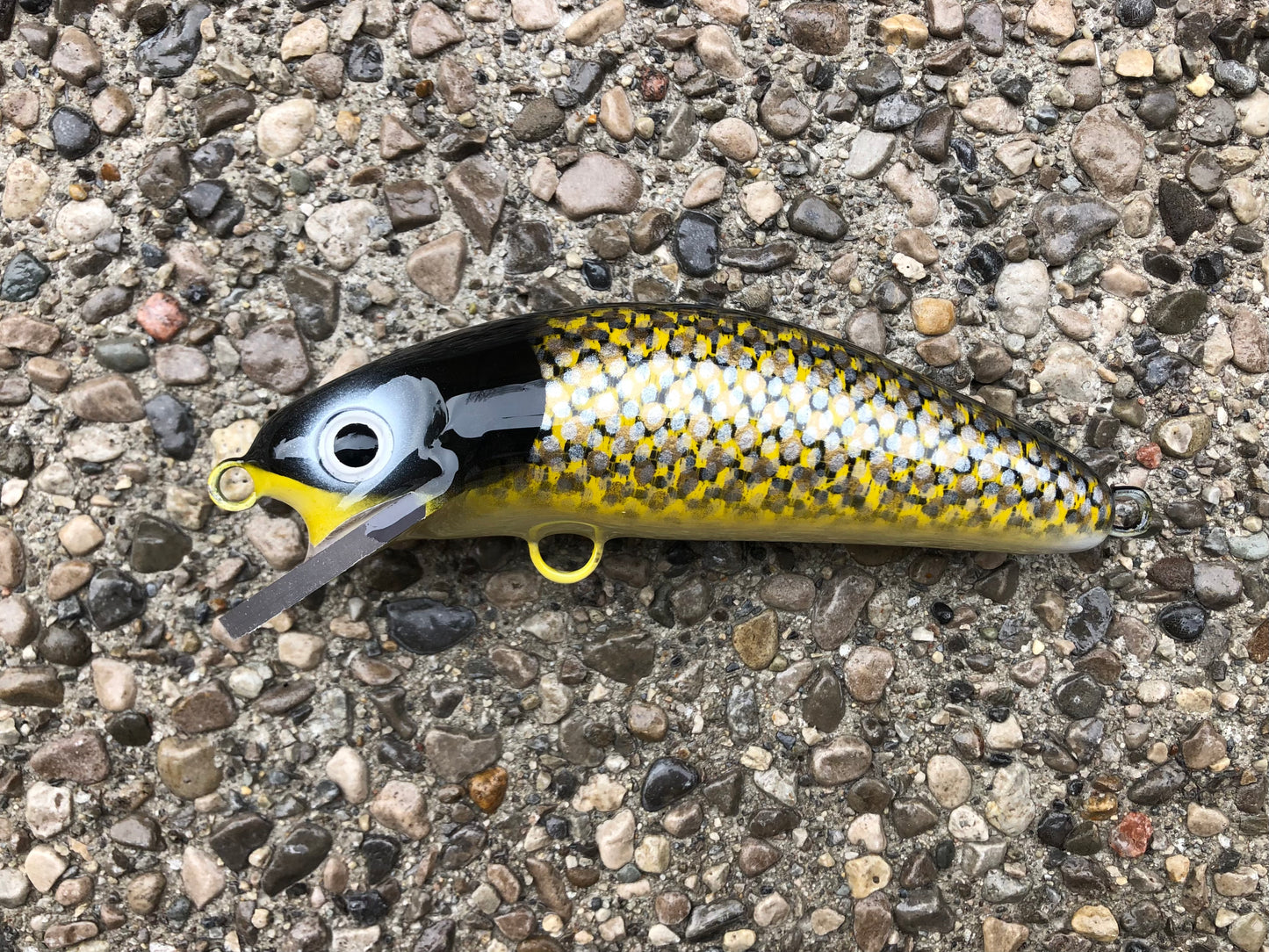 Camo Walleye - Cream Belly - 6SC