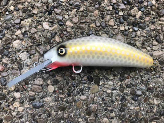 Hamrick Shad - White Belly - 6FH