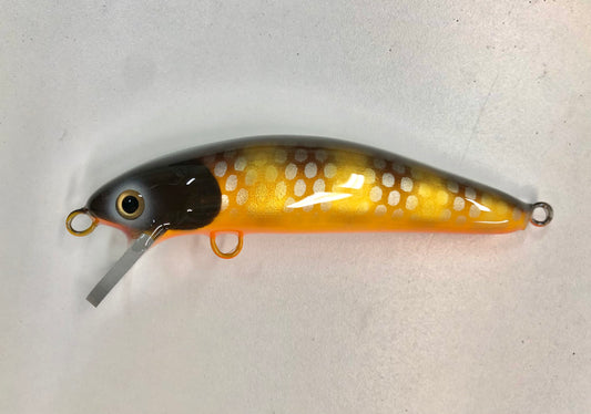 Mud Puppy - Orange Belly - 6SW