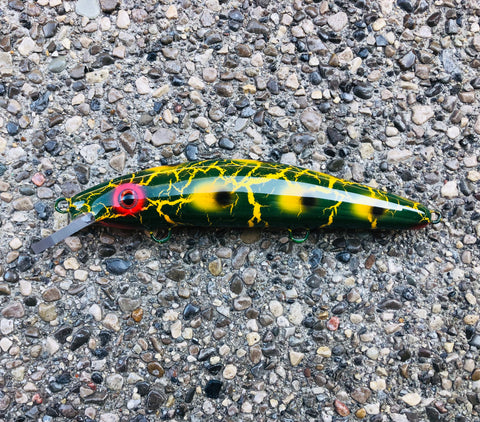 Crackle Frog - Crackle Belly - 9C