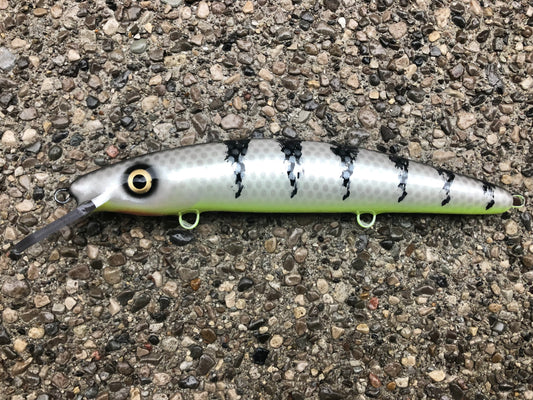 Zombie - Chartreuse Belly - 12C