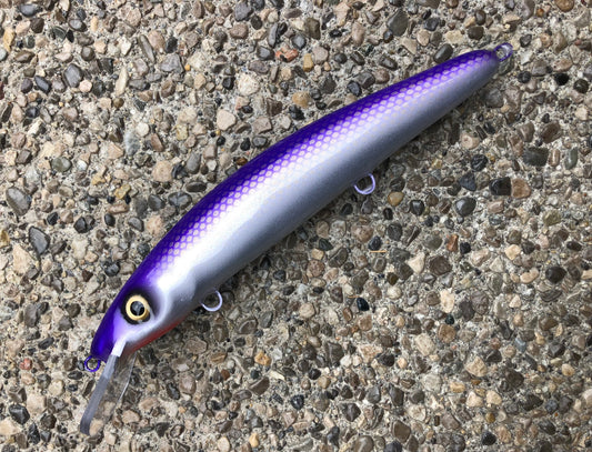 Finlander Cisco - Silver Belly - 12C