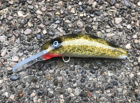 Natural Walleye - Pearl Belly - 6FH