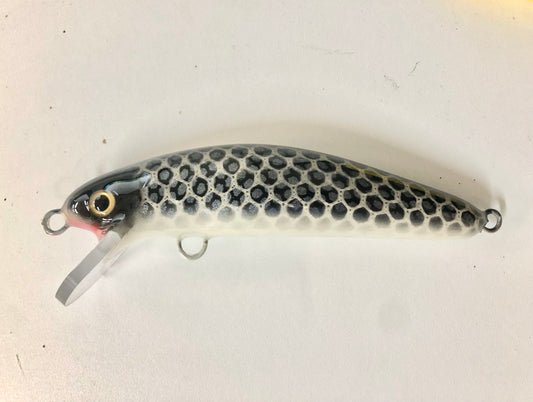 Diamond Shiner - White Belly