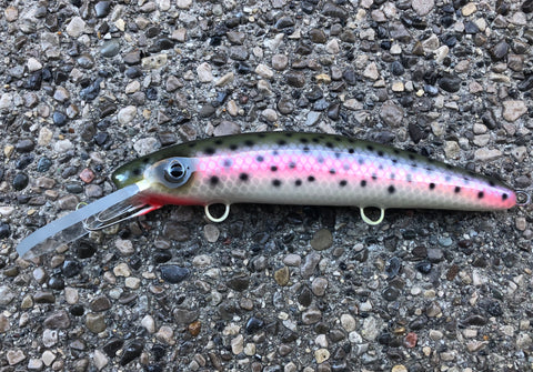 Rainbow Trout - White Belly - 9H