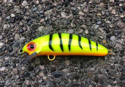 Chartreuse Tiger - Orange Belly - 6SC