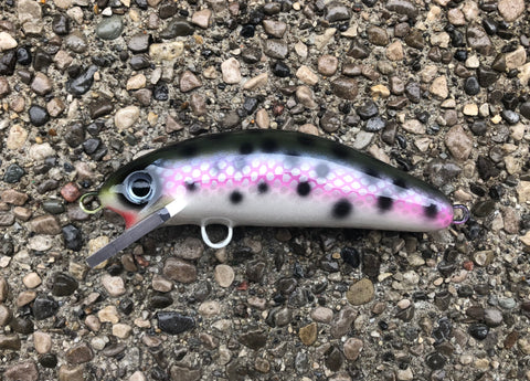 Rainbow Trout - Pearl Belly - 6SC