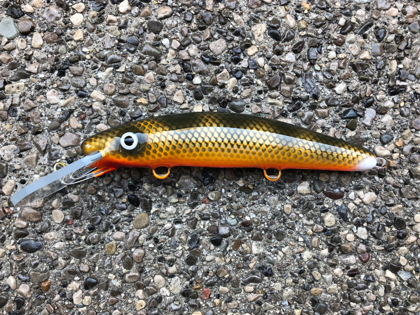 Double Nickel Walleye - Orange Belly - 9H