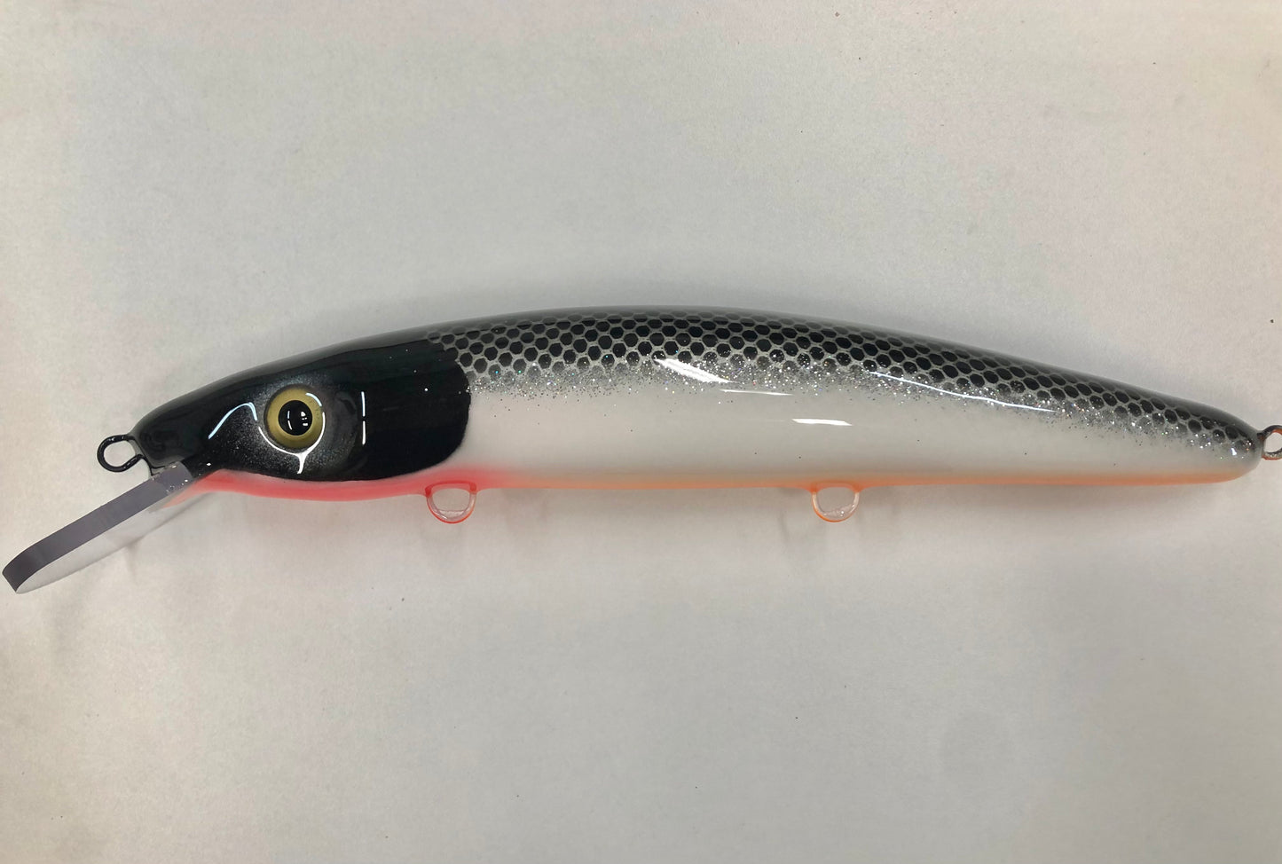 58” Cisco - Orange Belly - 12C