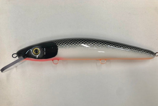 58” Cisco - Orange Belly - 12C