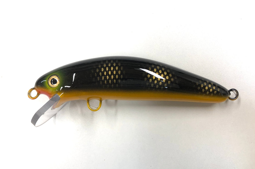 Black Perch - Yellow Belly – Blue Water Baits