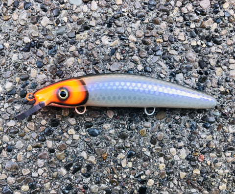 Clown Face Shad -  Pearl Belly - 9C