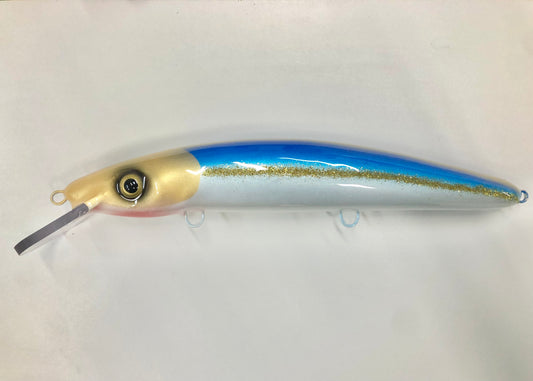 Blue & Gold Cisco - White Belly - 12C