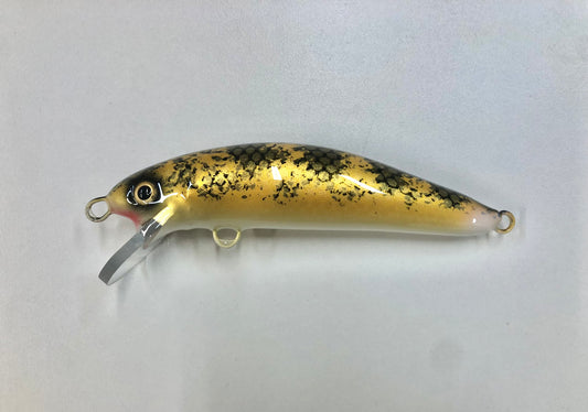 Gold Walleye - Pearl Belly