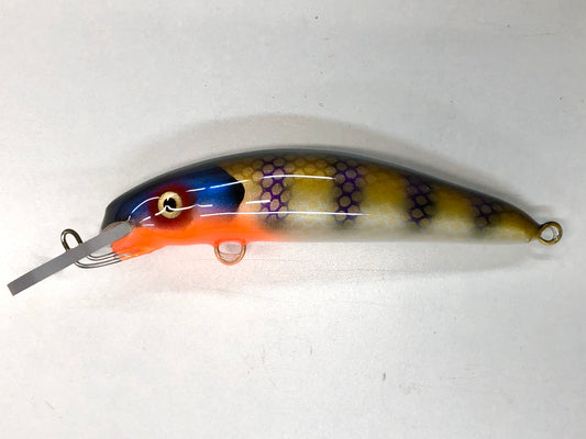Back Bay Gill - White Belly - 6H