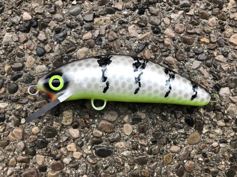 Zombie - Chartreuse Belly - 6SC