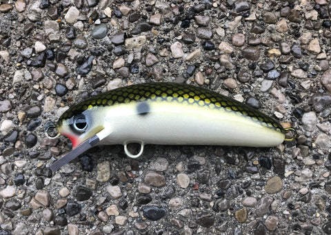 Tennessee Shad - Pearl Belly - 6SC