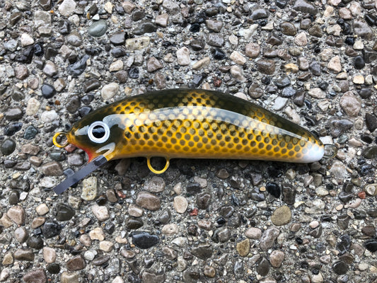 Double Nickel Walleye - Cream Belly - 6SC