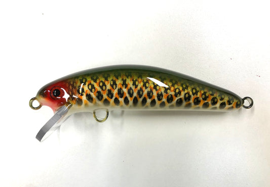 St. Lawrence (Dark) - Cream Belly