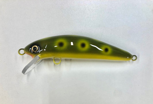 Olive Frog - White Belly - 6SW