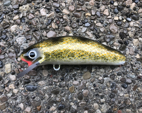 Natural Walleye - Pearl Belly - 6SC