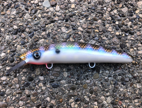 Shimmering Shad - Pearl Belly - 9C