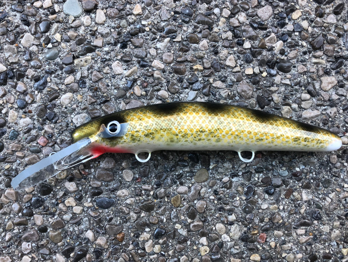 Natural Walleye - Pearl Belly - 9H