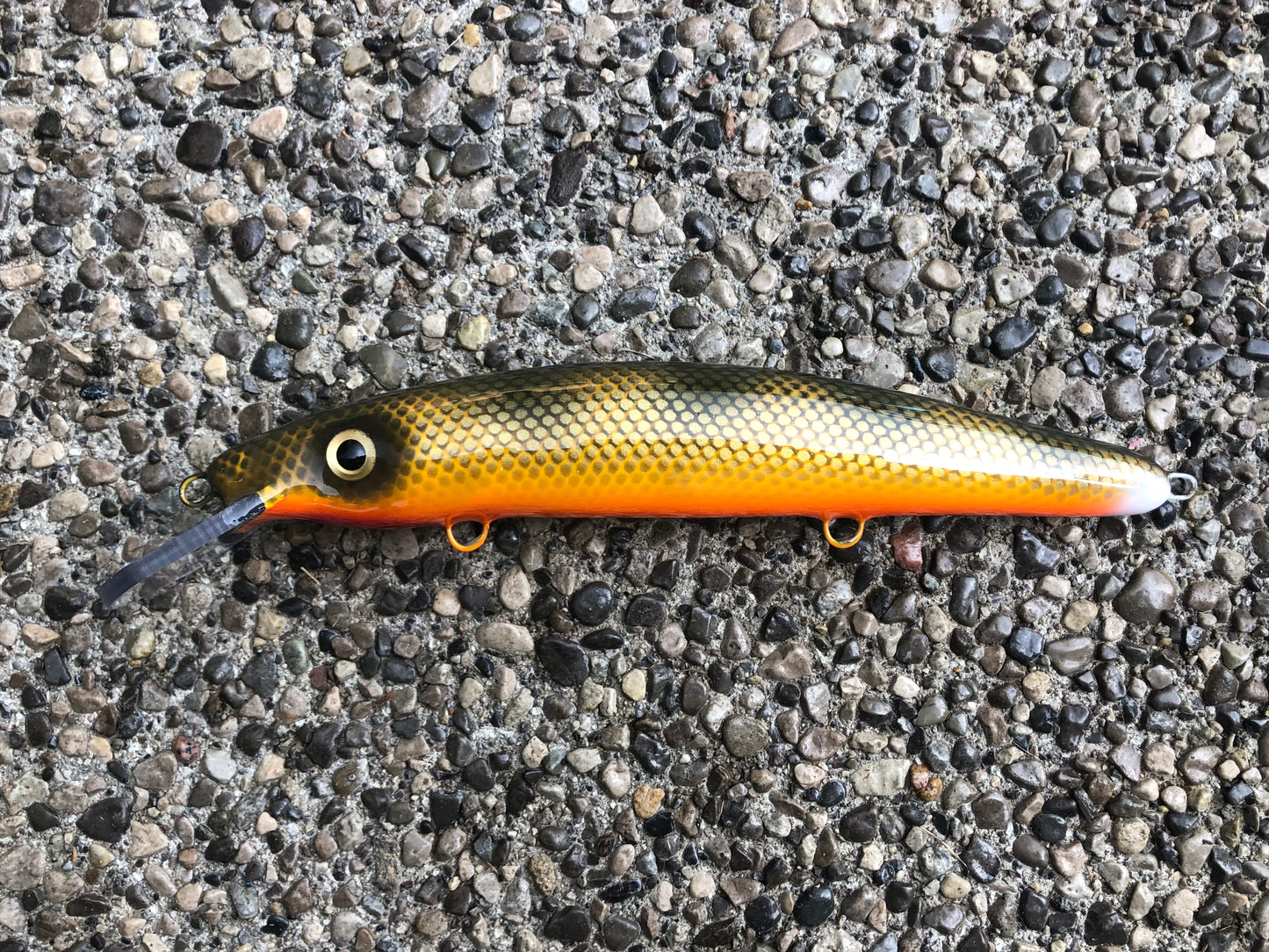 Double Nickel Walleye - Orange Belly - 12C