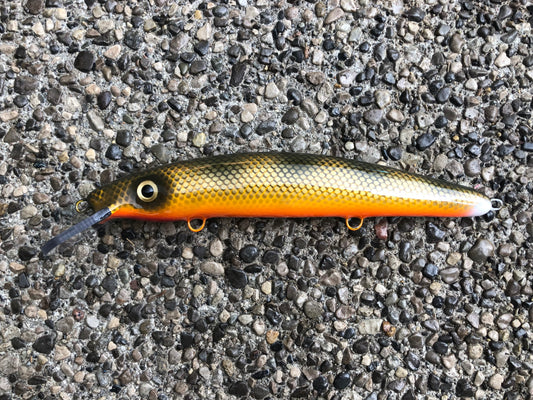 Double Nickel Walleye - Orange Belly - 12C