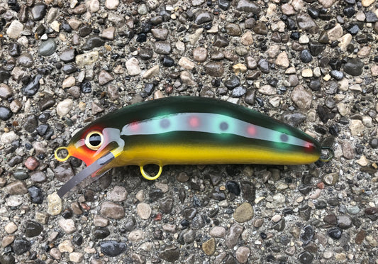 Miller Frog - Yellow Belly - 6SC