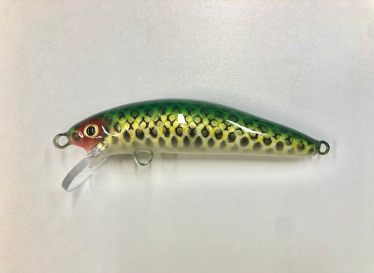 St. Lawrence (Light) - Bass Belly