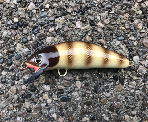 Brown Pike Scale - Cream Belly - 6SC