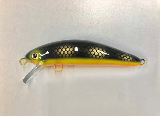 Black Perch - Orange Stripe - 6SW