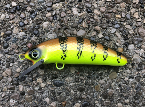 Copper Perch - Chartreuse Belly - 6SC
