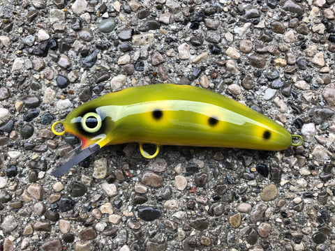 Olive Frog - Yellow Belly - 6SC
