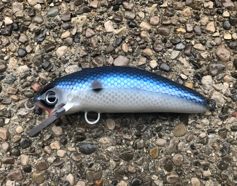 Iridescent Shad - Pearl Belly - 6SC