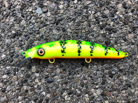 Wish Perch - Orange Belly - 9C