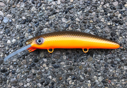 Niagara Walleye - Orange Belly - 9H